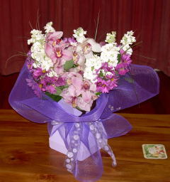 Orchids