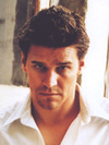 fantasy_david_boreanaz.jpg