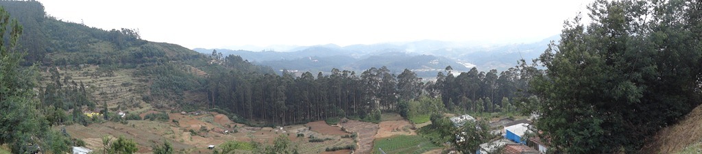panorama