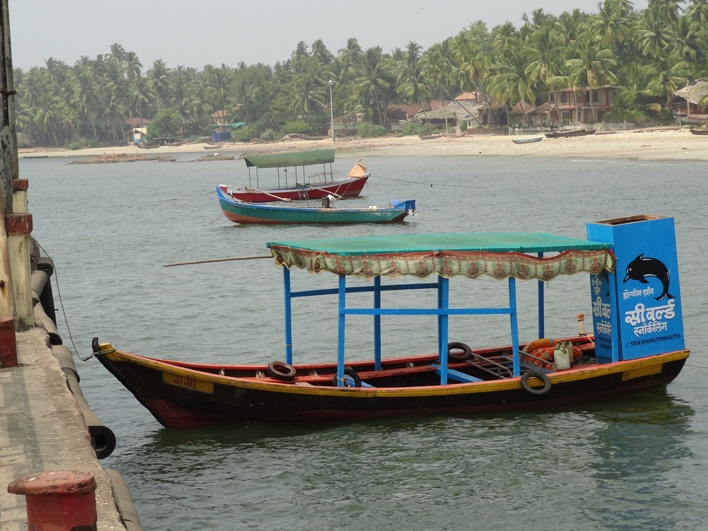 boats