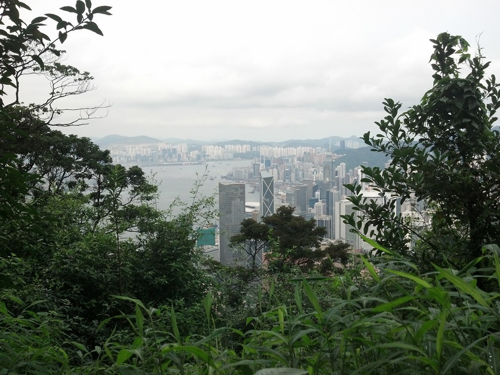 city